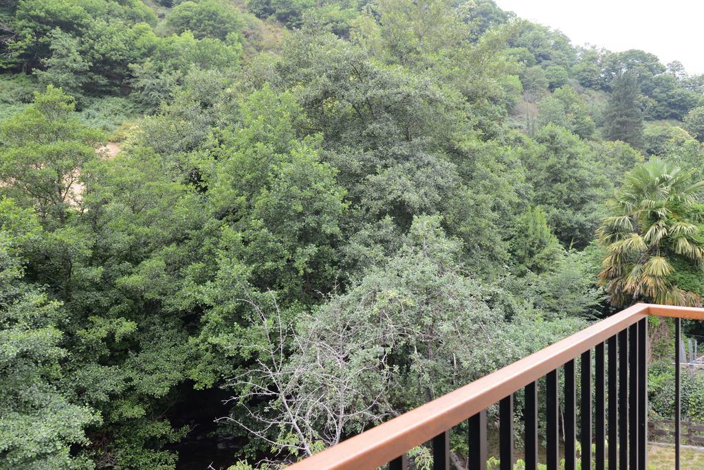 Apartamentos el Rincon de Limes Cangas De Narcea Habitación foto